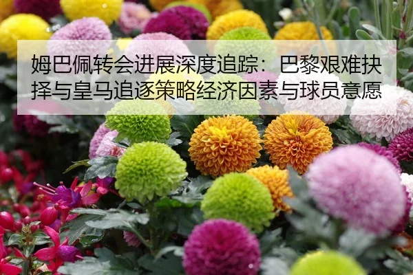 mu-ba-pei-zhuan-hui-jin-zhan-shen-du-zhui-zong-ba-li-jian-nan-jue-ze-yu-huang-ma-zhui-zhu-ce-lve-jing-ji-yin-su-yu-qiu-2-475.jpg